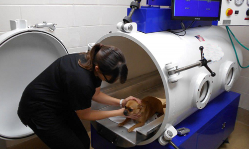 camaras hiperbaricas