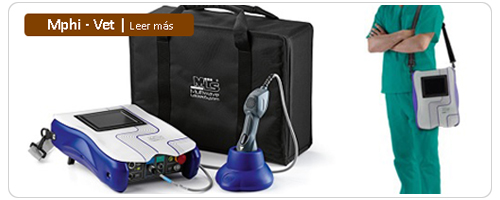 laserterapia veterinaria - 2r company